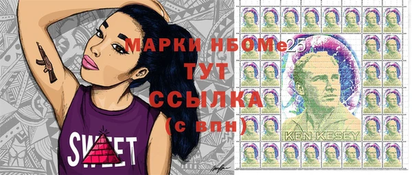 дмт Новозыбков